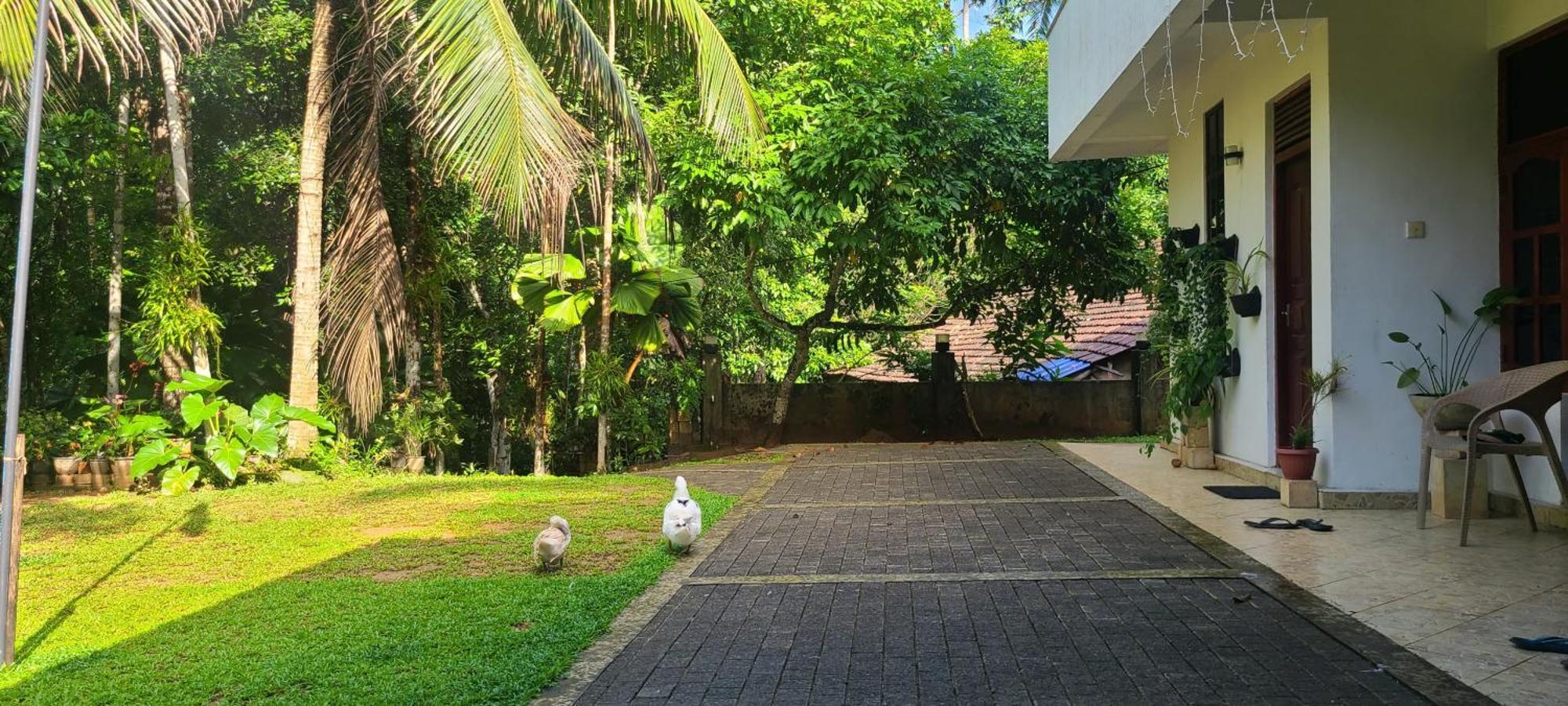 'Kolamba Gedara' Green Apartment Ruwanwella Екстериор снимка